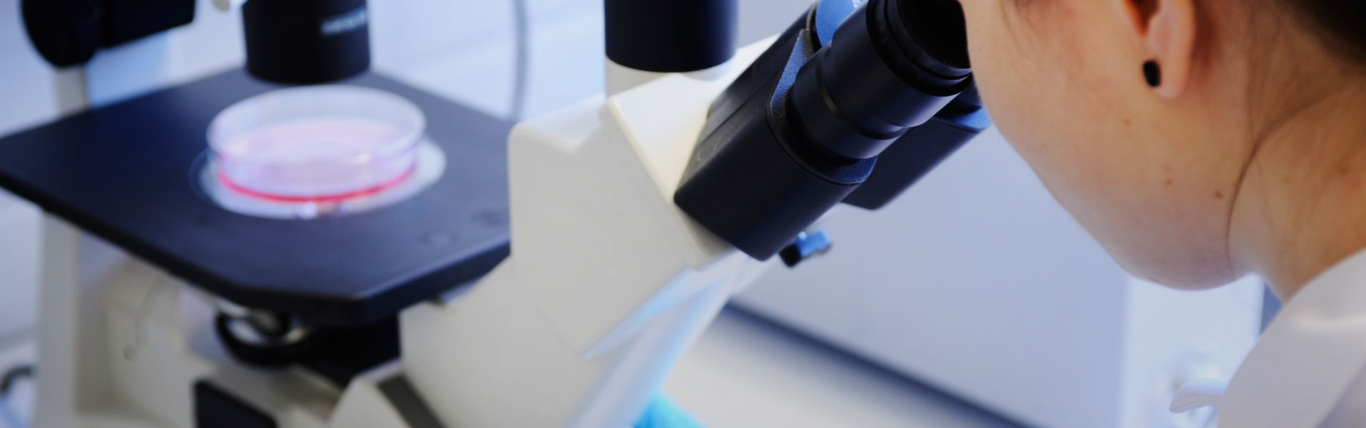 Flexible ADME-Tox Services | Tailored DMPK Support | Admescope